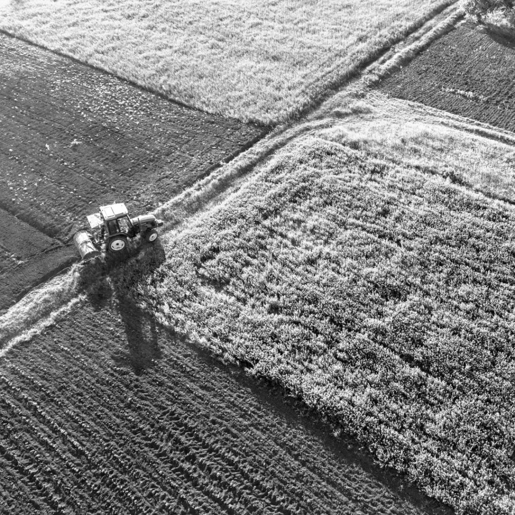 Fondo servicios agrícolas